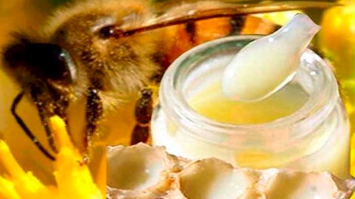 Маточное молочко пчел