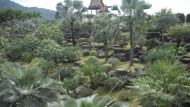 Тропический сад Нонг Нуч в Паттайе.