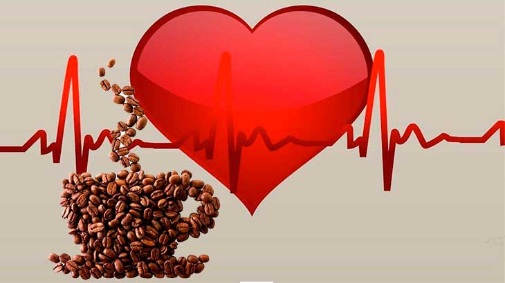 Кофеин стимулирует работу сердца.