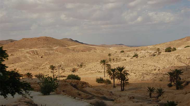 Экскурсия в Сахару